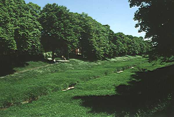 Albrecht-Dürer-Straße