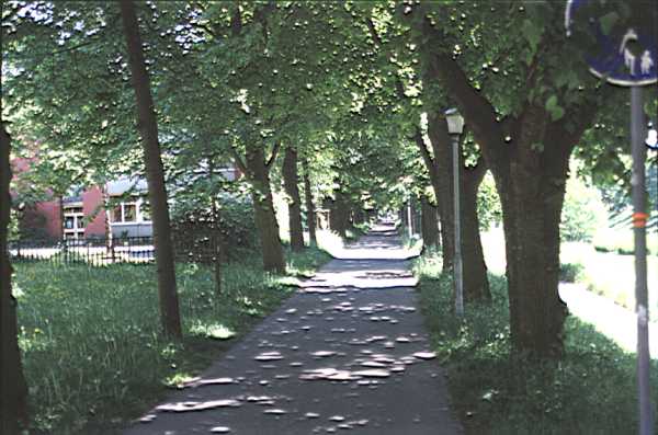 Ellrodtweg