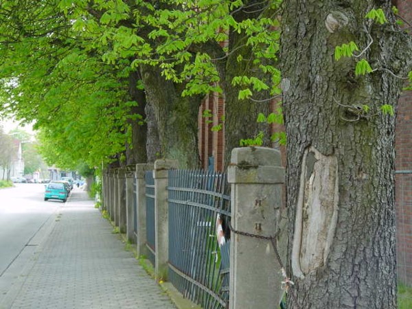 Gutenbergstraße