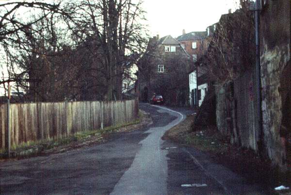 Herzog
