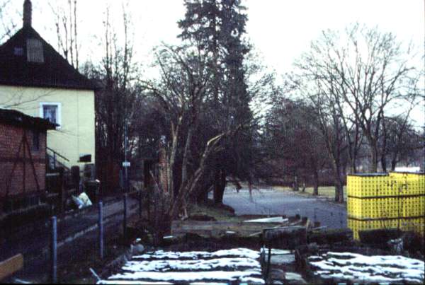 Herzog